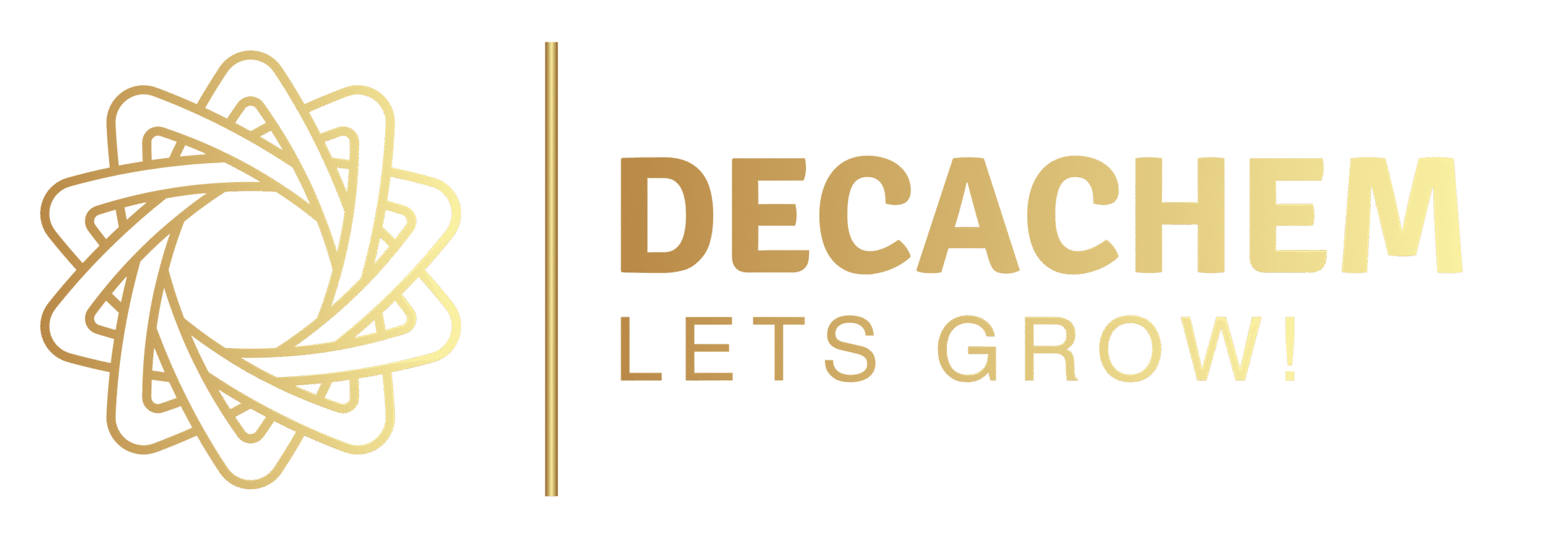 Decachem logo